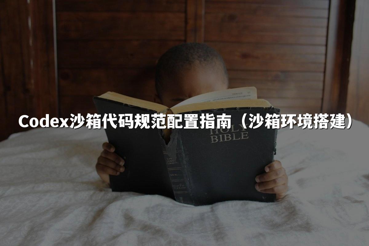 Codex沙箱代码规范配置指南（沙箱环境搭建）