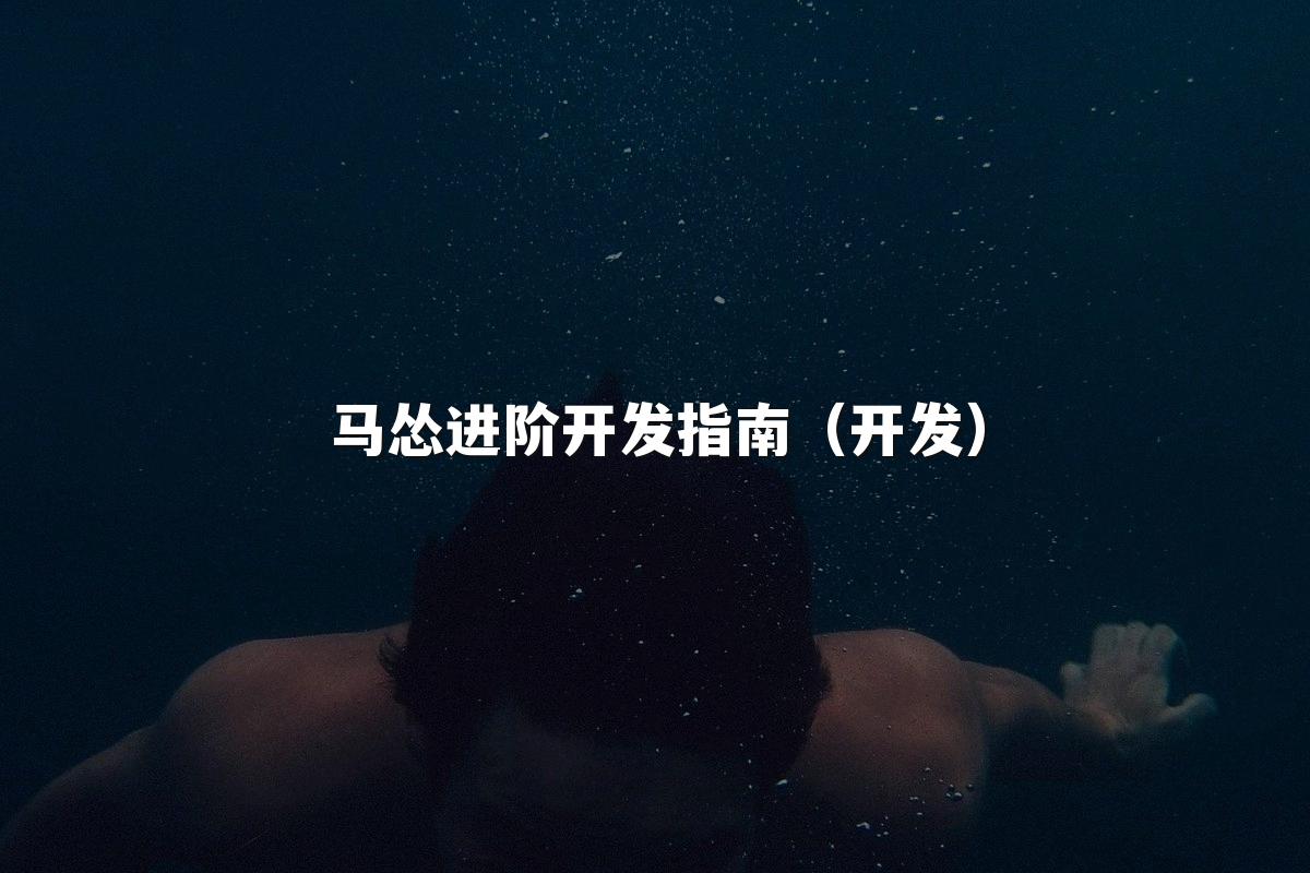 马怂进阶开发指南（开发）