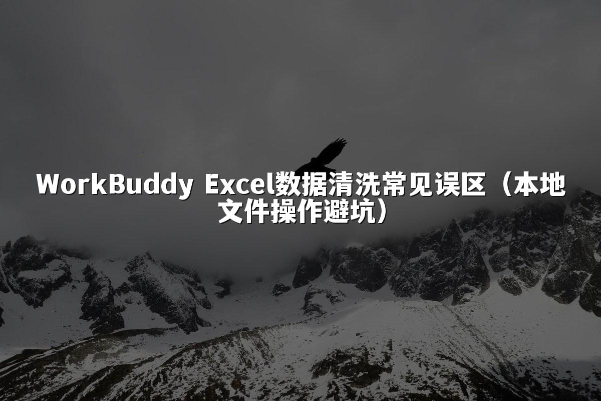 WorkBuddy Excel数据清洗常见误区（本地文件操作避坑）