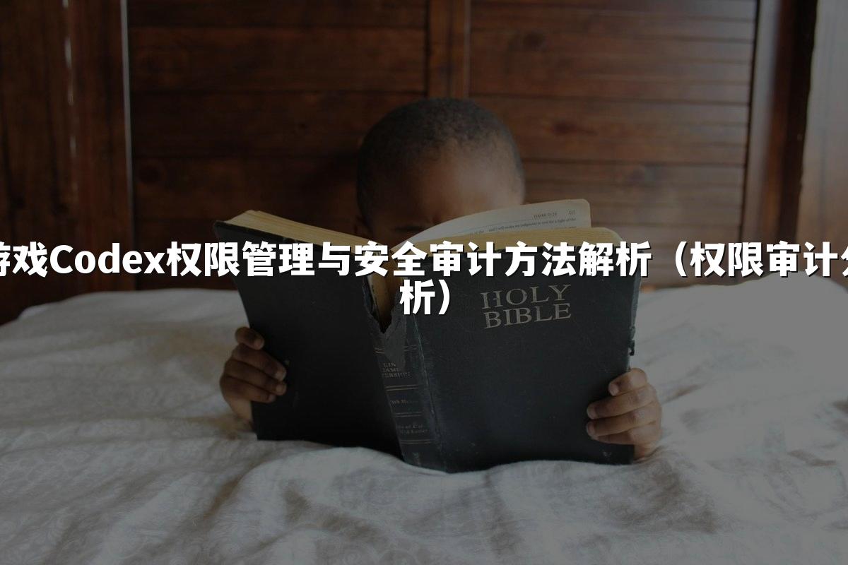 游戏Codex权限管理与安全审计方法解析（权限审计分析）