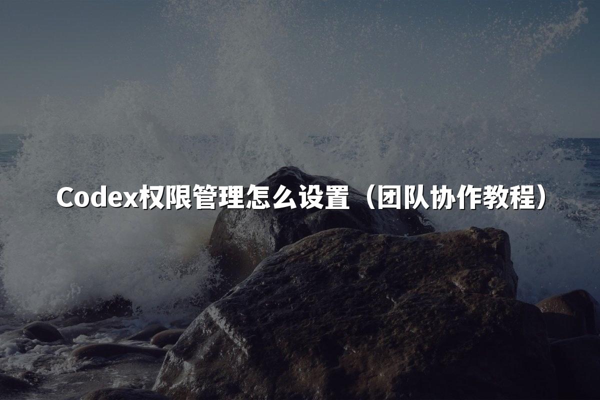 Codex权限管理怎么设置（团队协作教程）
