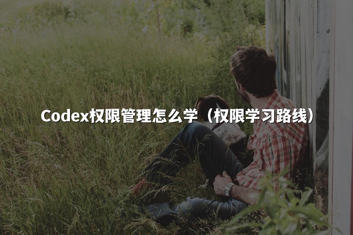 Codex权限管理怎么学（权限学习路线）