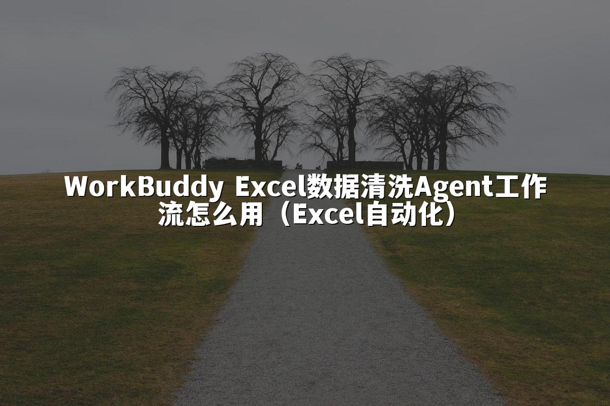 WorkBuddy Excel数据清洗Agent工作流怎么用(Excel自动化)