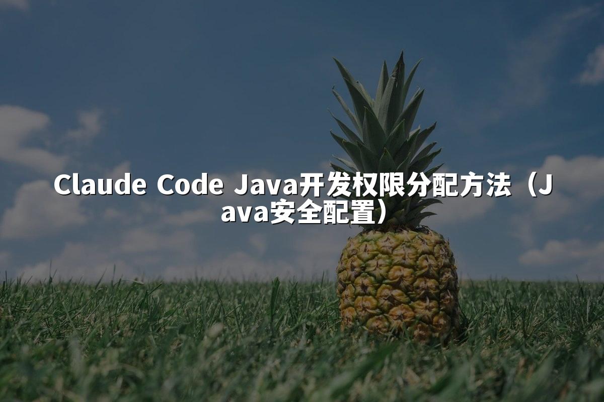 Claude Code Java开发权限分配方法（Java安全配置）