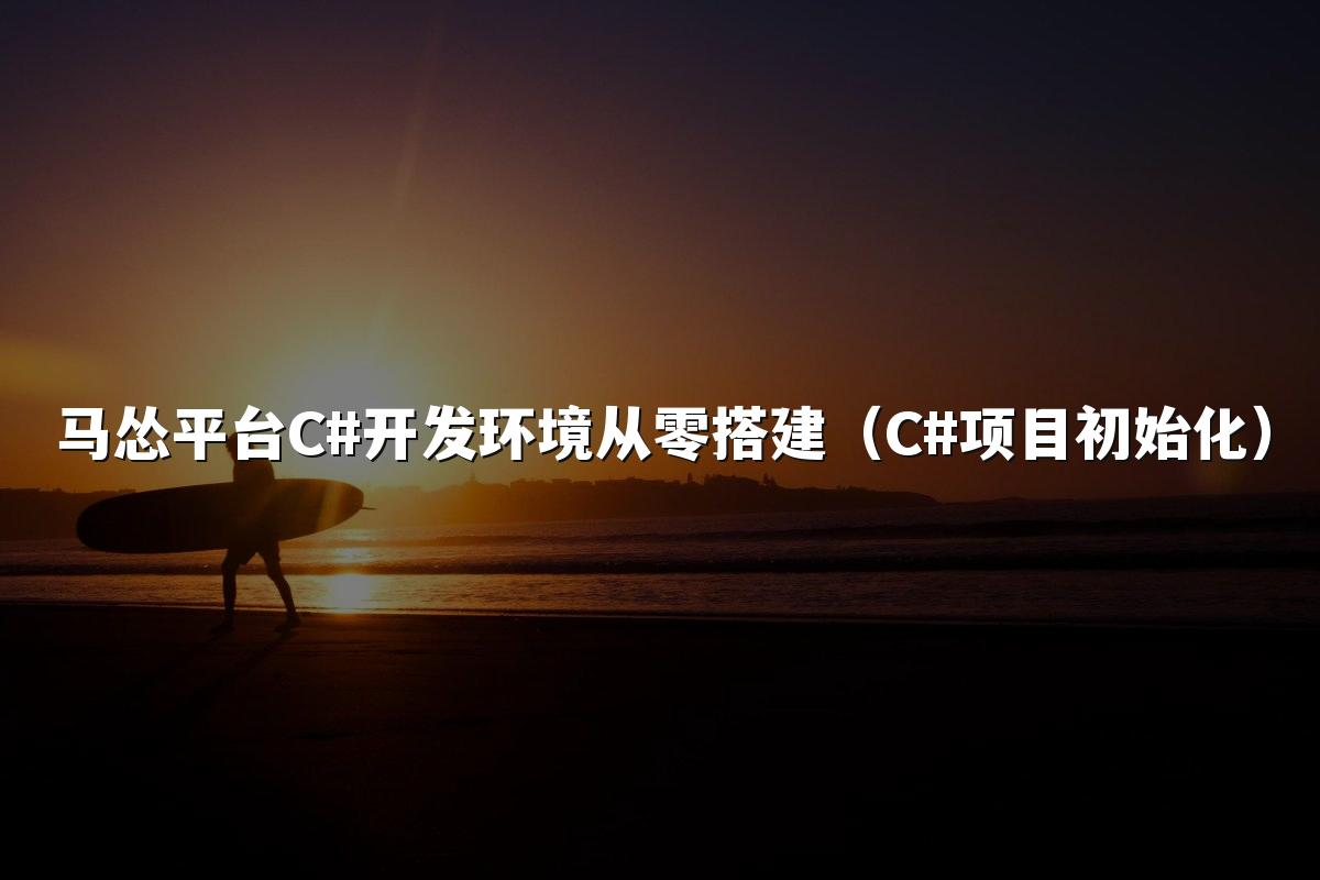 马怂平台C#开发环境从零搭建（C#项目初始化）
