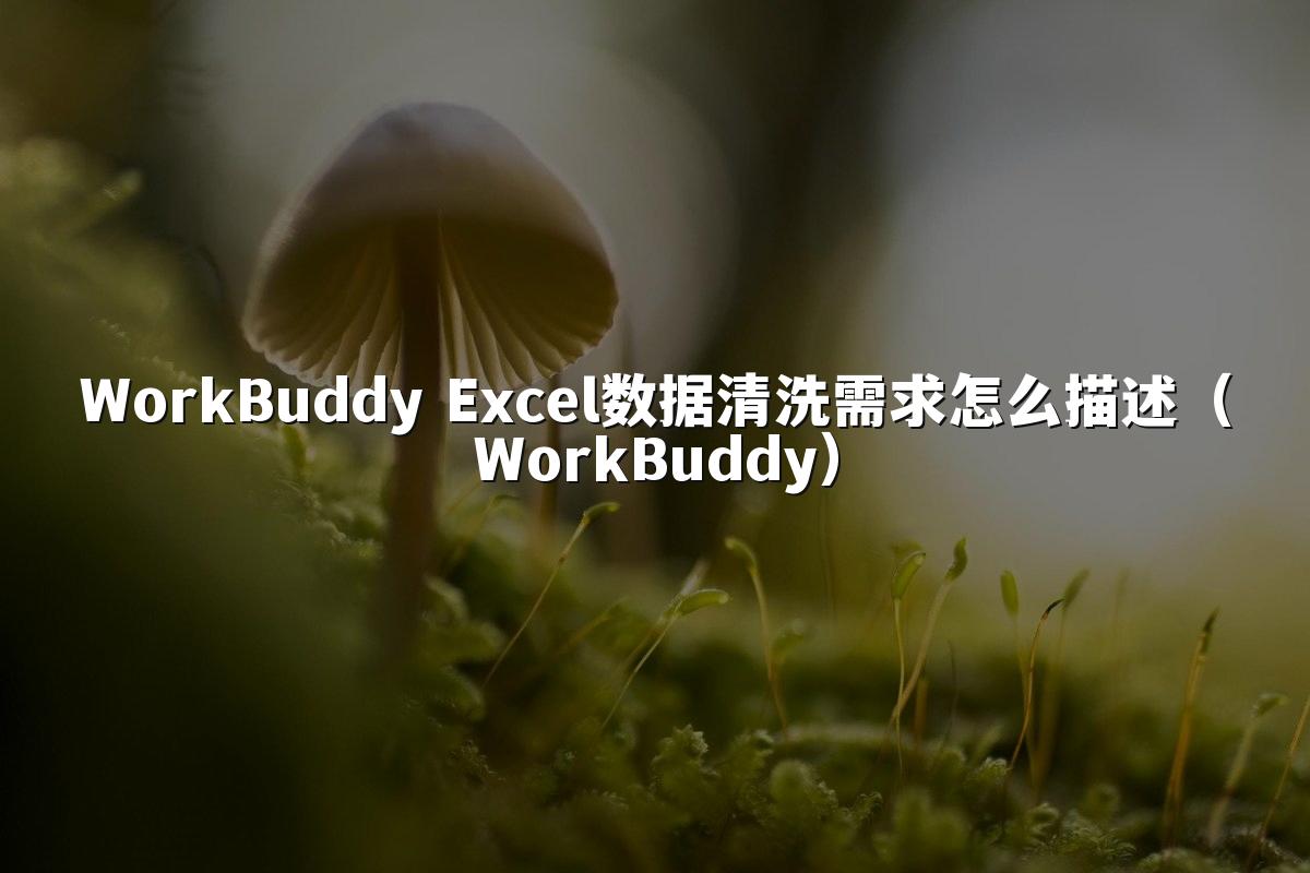 WorkBuddy Excel数据清洗需求怎么描述（WorkBuddy）