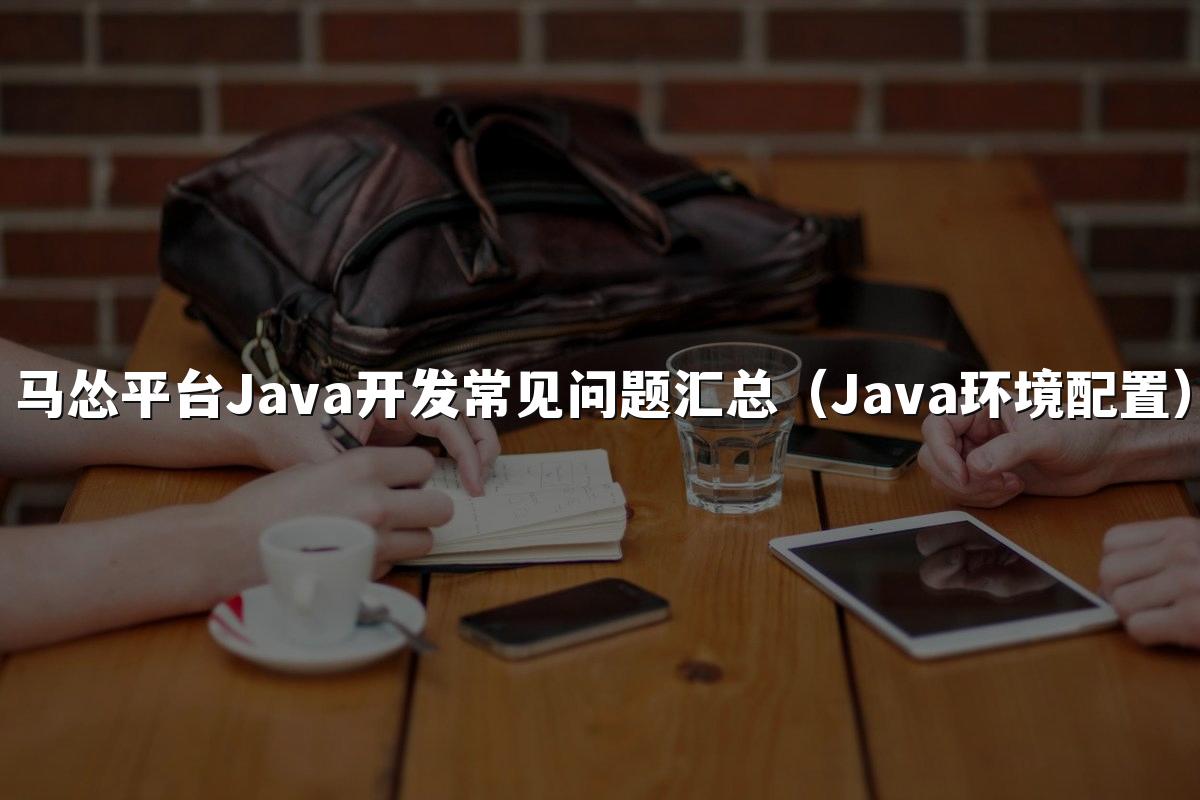 马怂平台Java开发常见问题汇总（Java环境配置）