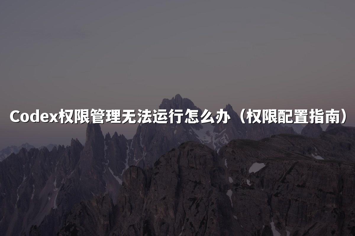 Codex权限管理无法运行怎么办（权限配置指南）
