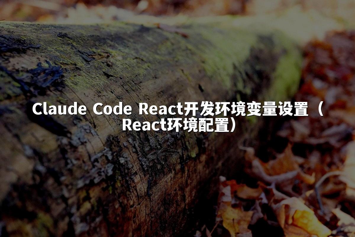 Claude Code React开发环境变量设置（React环境配置）
