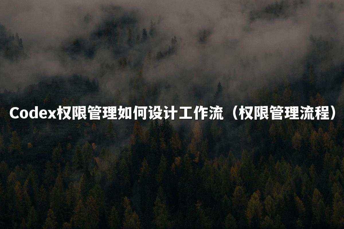 Codex权限管理如何设计工作流（权限管理流程）