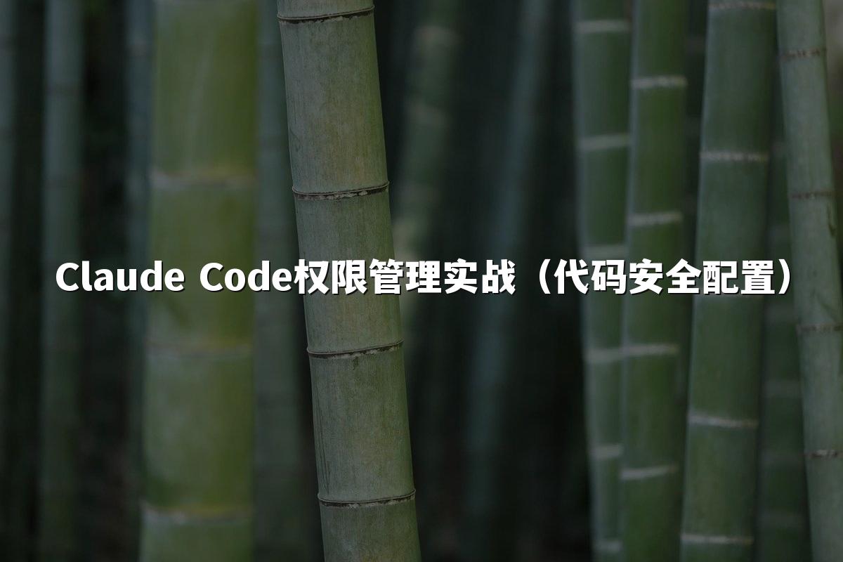 Claude Code权限管理实战（代码安全配置）