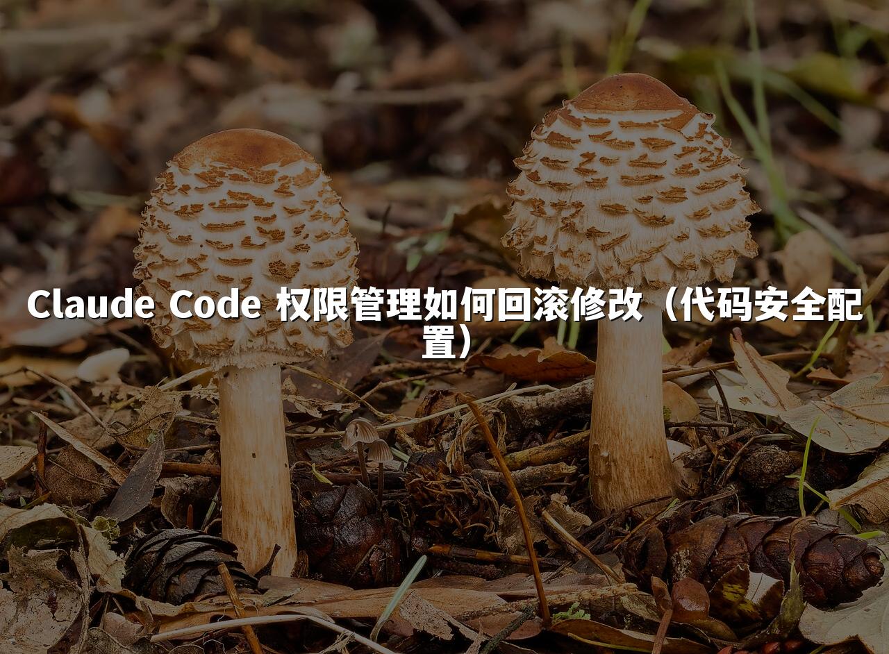 Claude Code 权限管理如何回滚修改(代码安全配置)