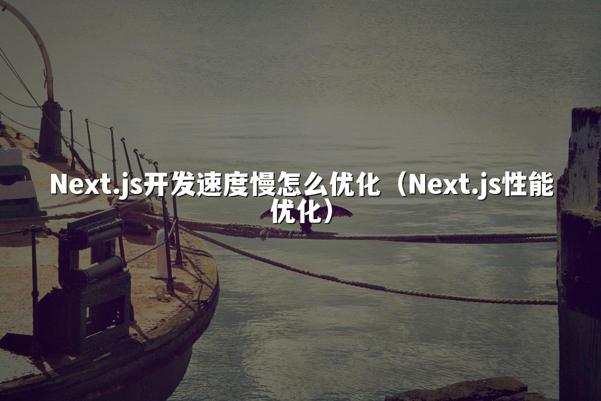 Next.js开发速度慢怎么优化（Next.js性能优化）