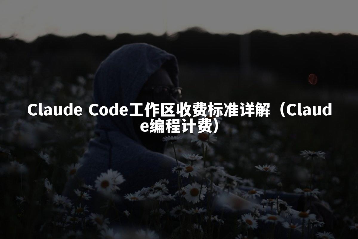 Claude Code工作区收费标准详解（Claude编程计费）