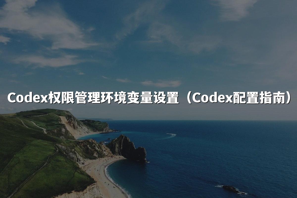 Codex权限管理环境变量设置(Codex配置指南)