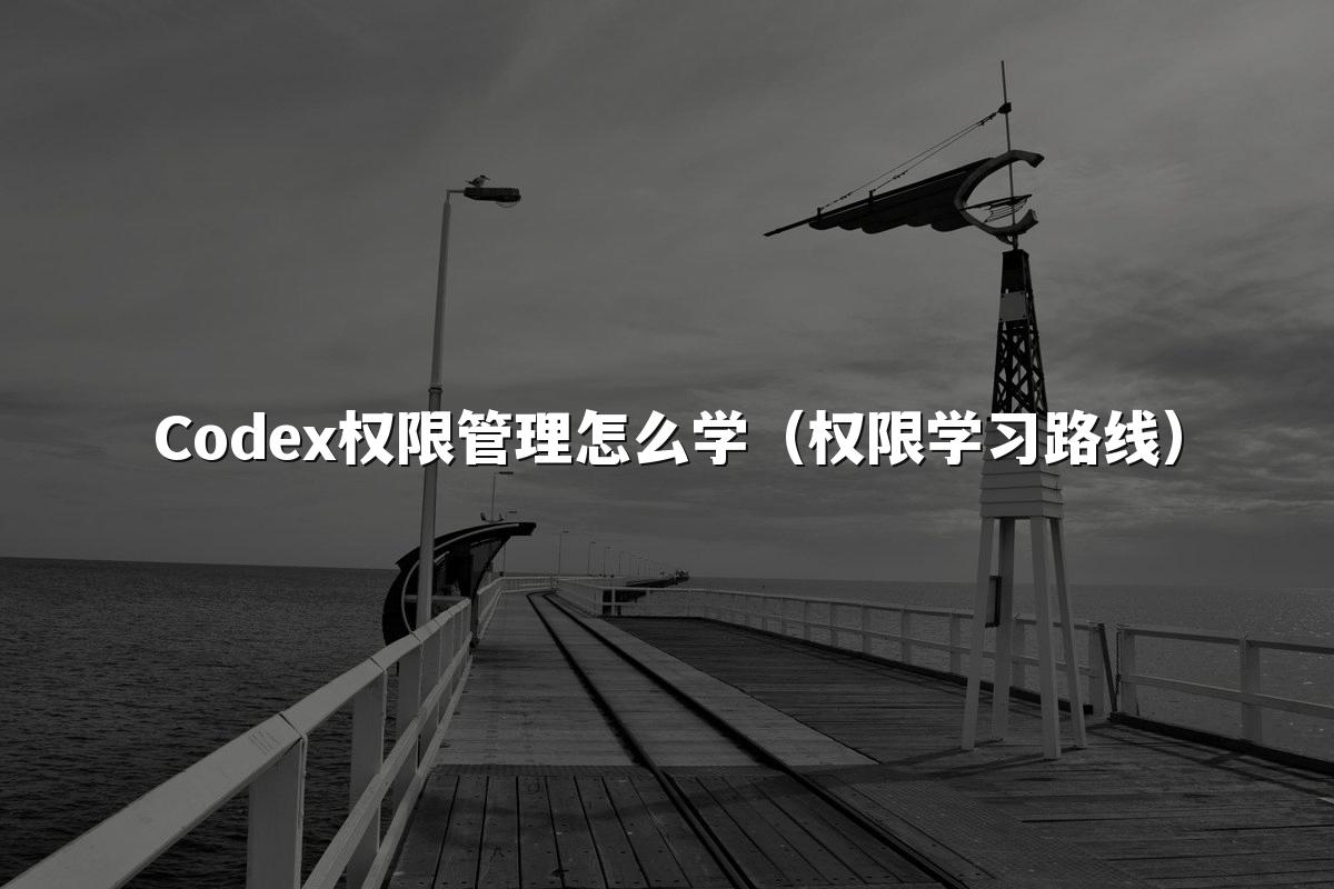 Codex权限管理怎么学（权限学习路线）