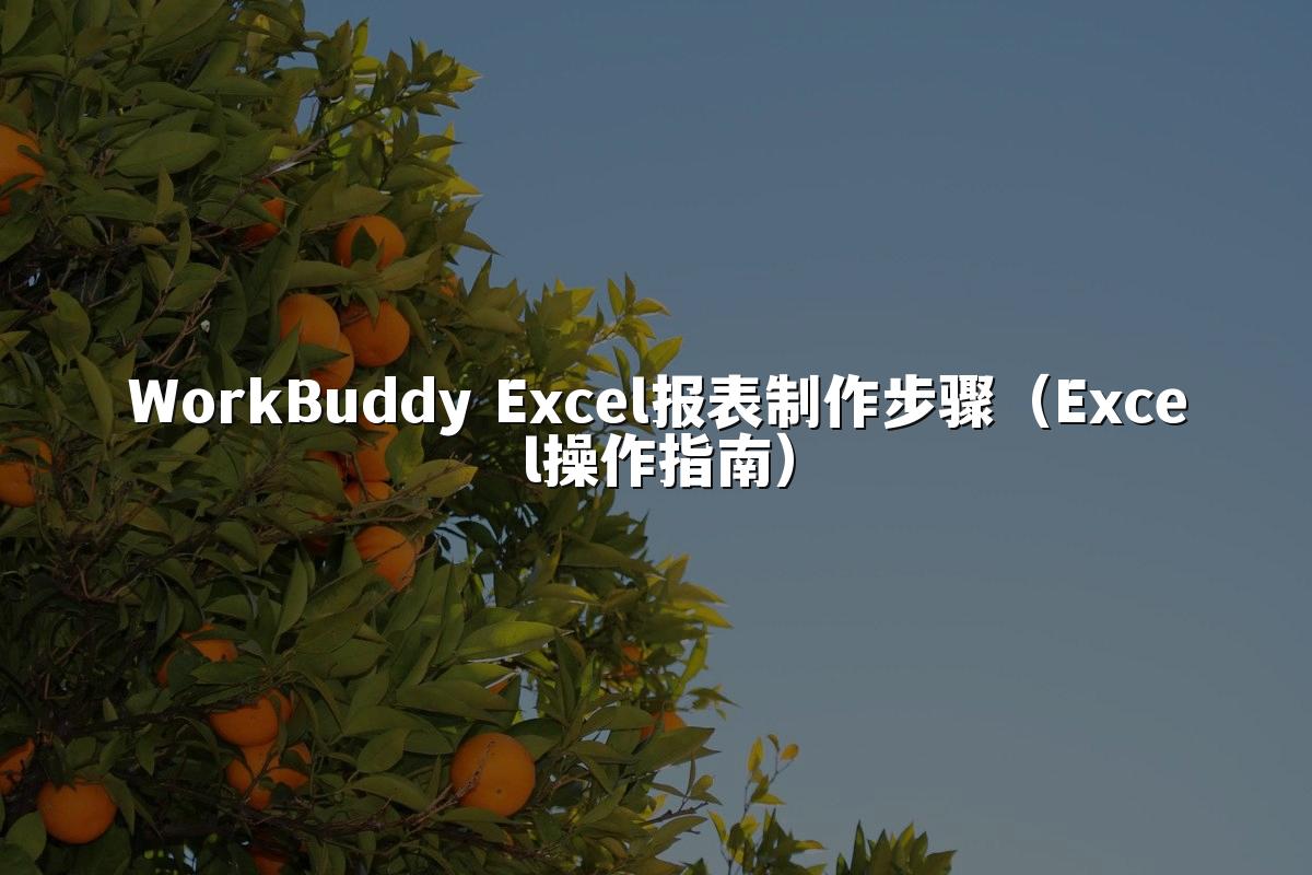 WorkBuddy Excel报表制作步骤（Excel操作指南）