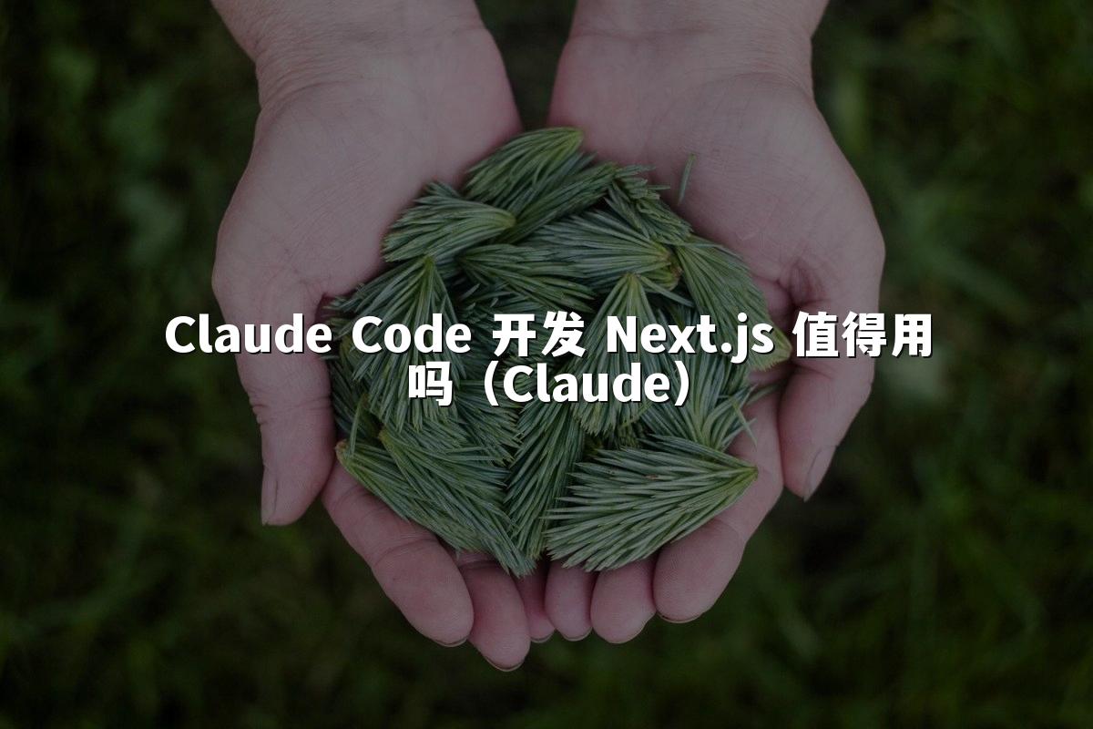 Claude Code 开发 Next.js 值得用吗（Claude）