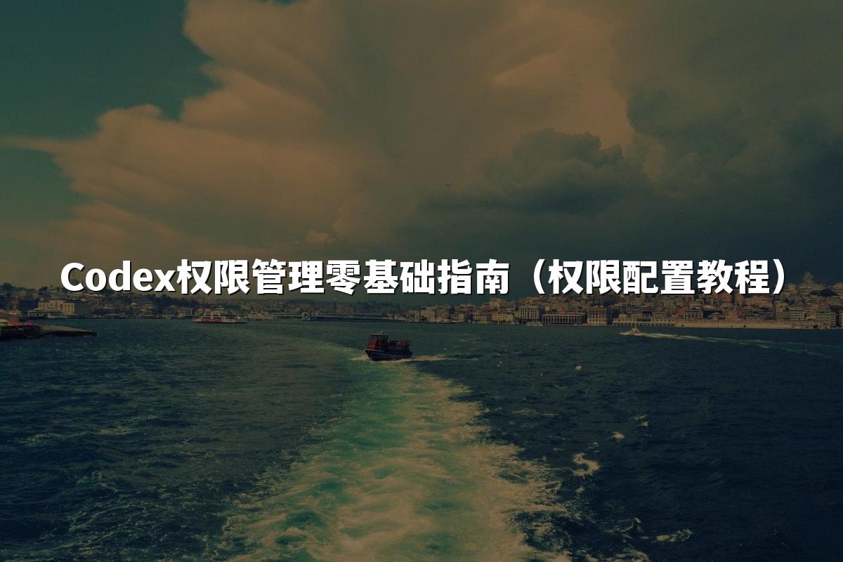 Codex权限管理零基础指南（权限配置教程）