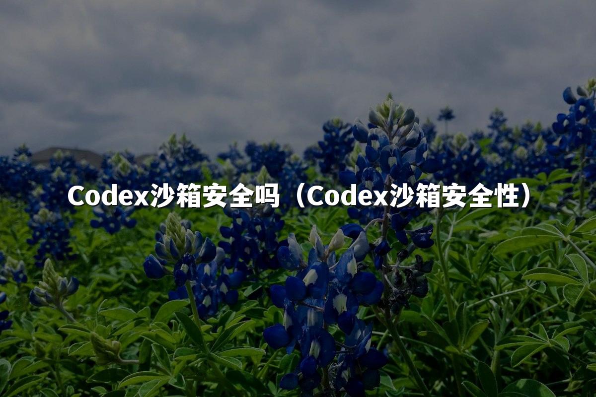 Codex沙箱安全吗（Codex沙箱安全性）