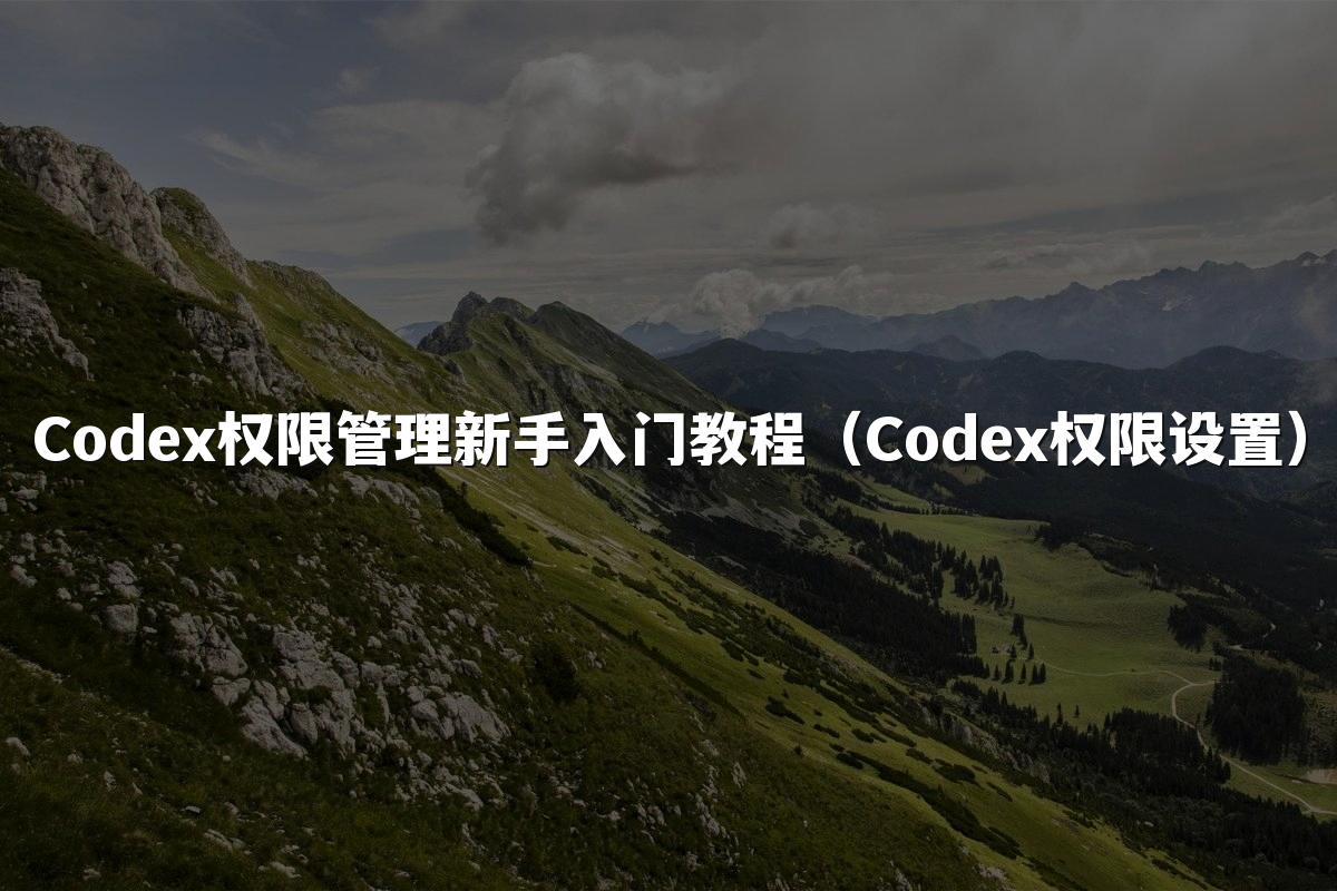 Codex权限管理新手入门教程(Codex权限设置)