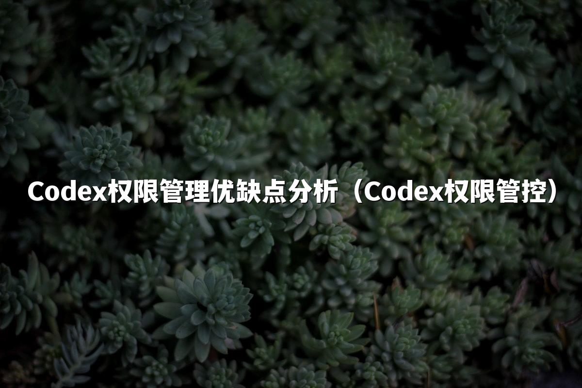 Codex权限管理优缺点分析（Codex权限管控）