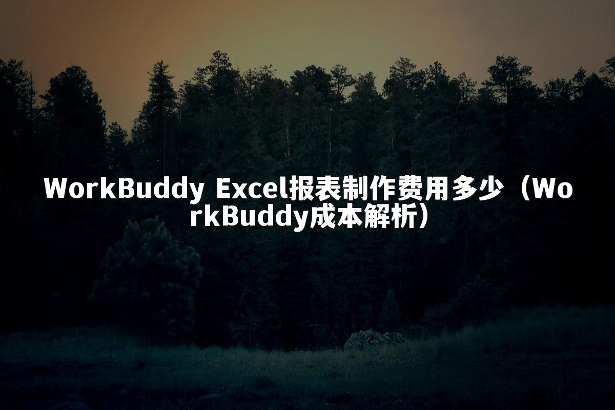 WorkBuddy Excel报表制作费用多少（WorkBuddy成本解析）