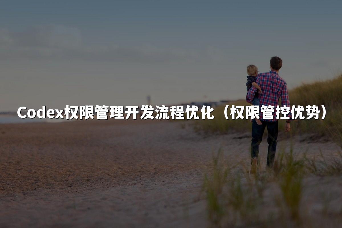 Codex权限管理开发流程优化（权限管控优势）