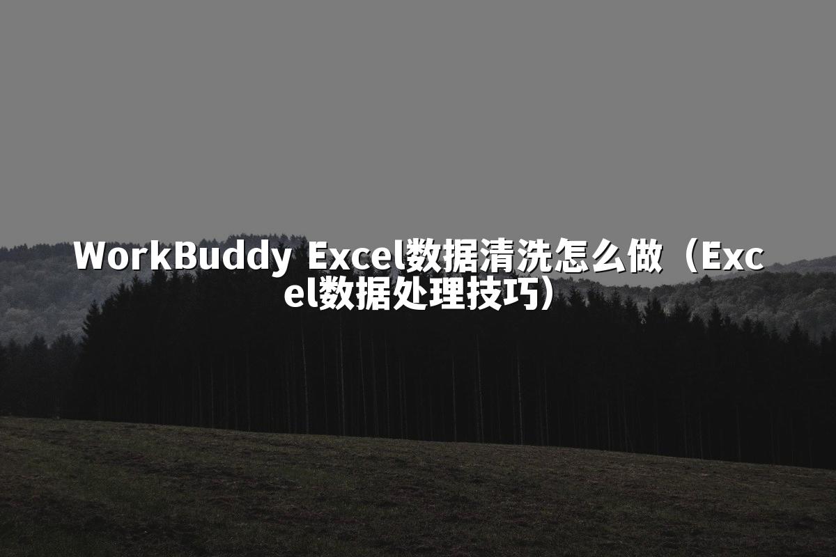 WorkBuddy Excel数据清洗怎么做（Excel数据处理技巧）