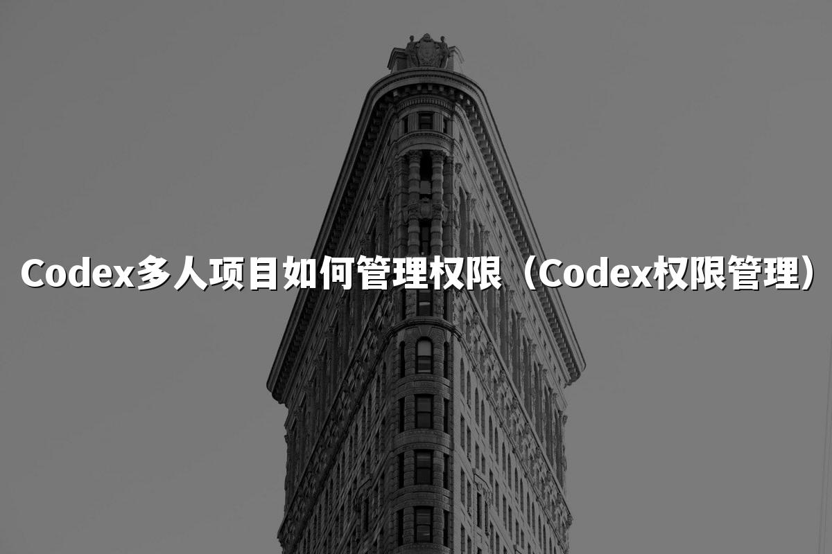 Codex多人项目如何管理权限（Codex权限管理）
