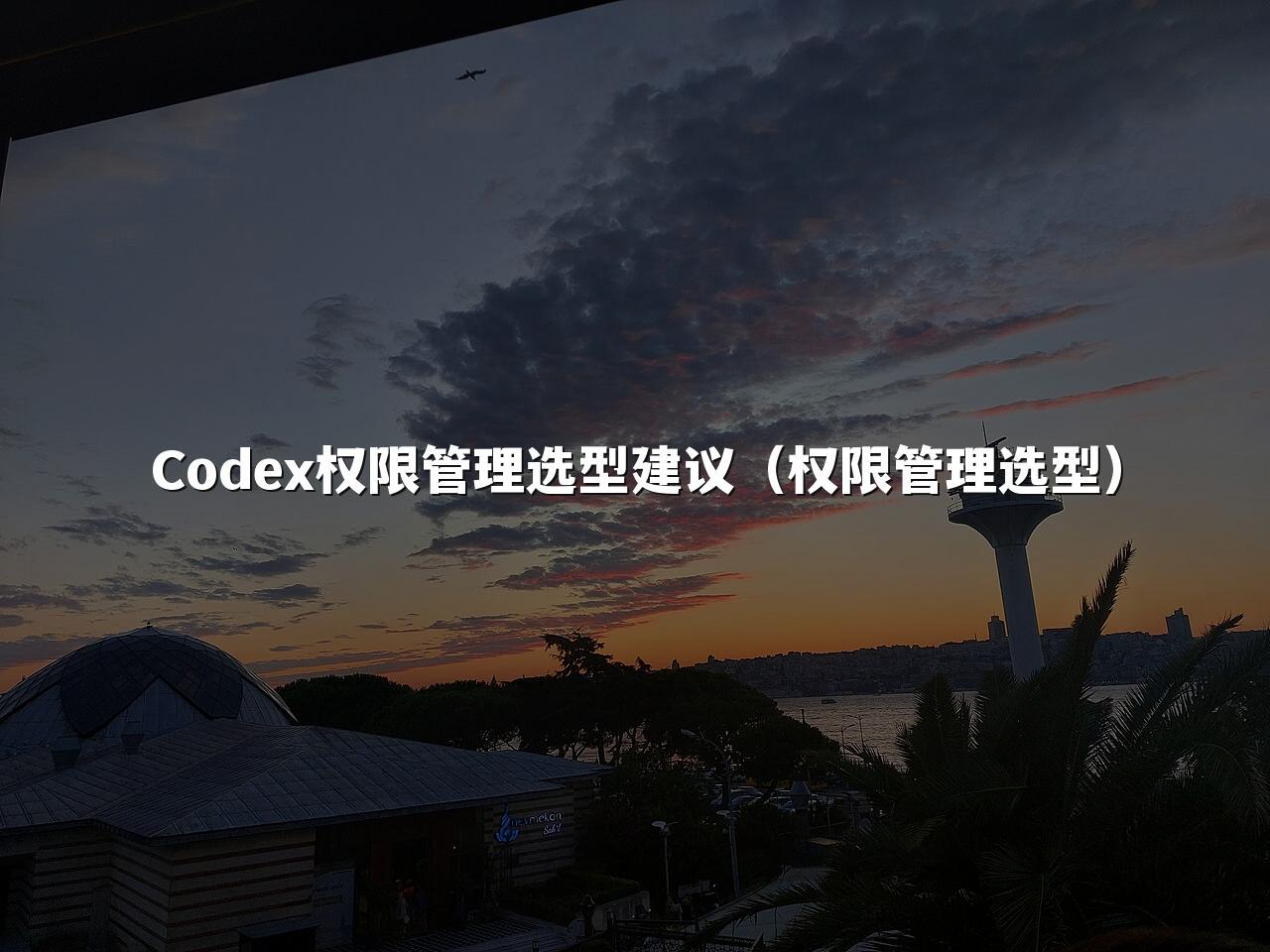 Codex权限管理选型建议（权限管理选型）