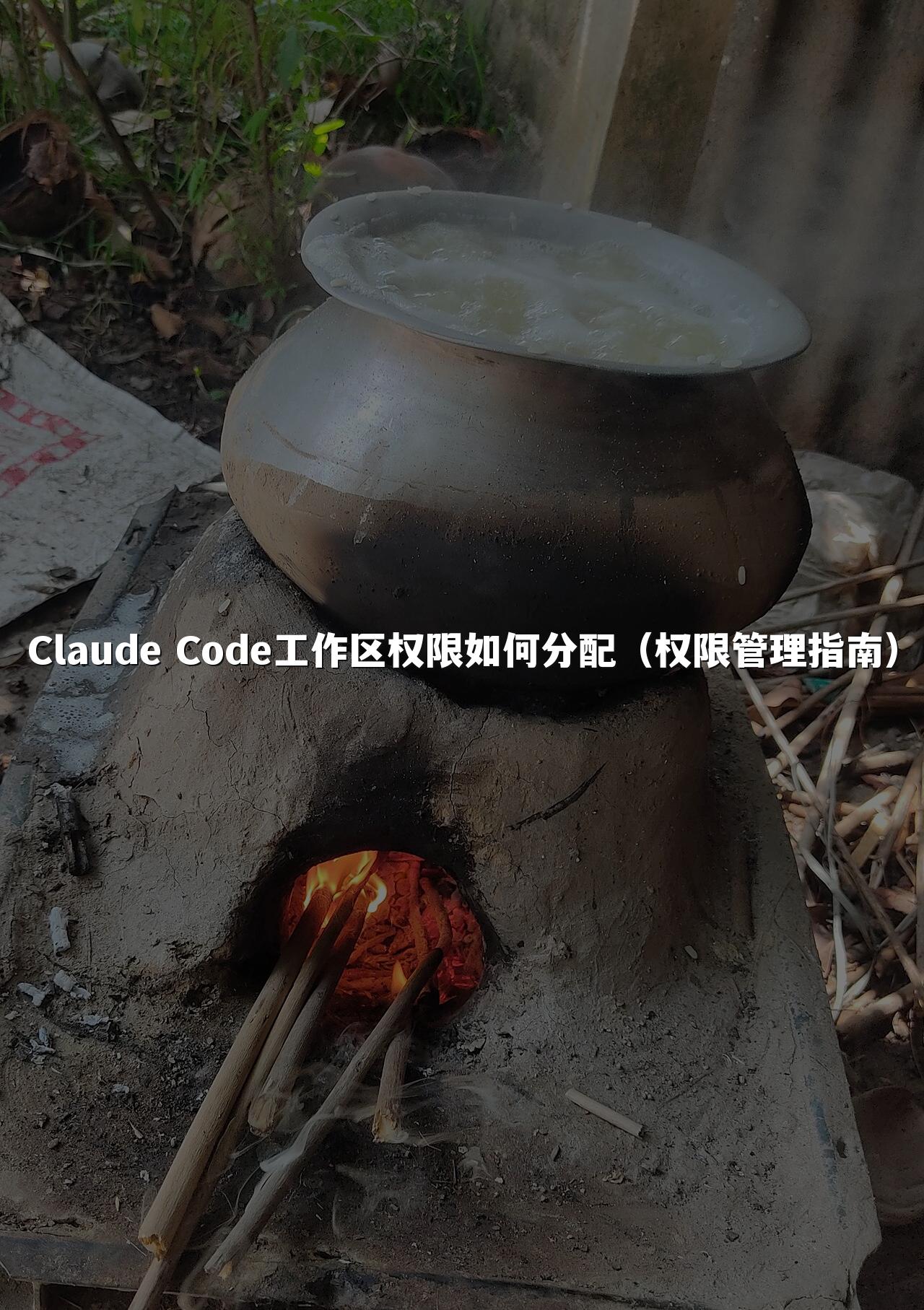 Claude Code工作区权限如何分配（权限管理指南）