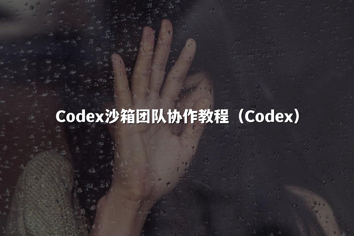 Codex沙箱团队协作教程（Codex）