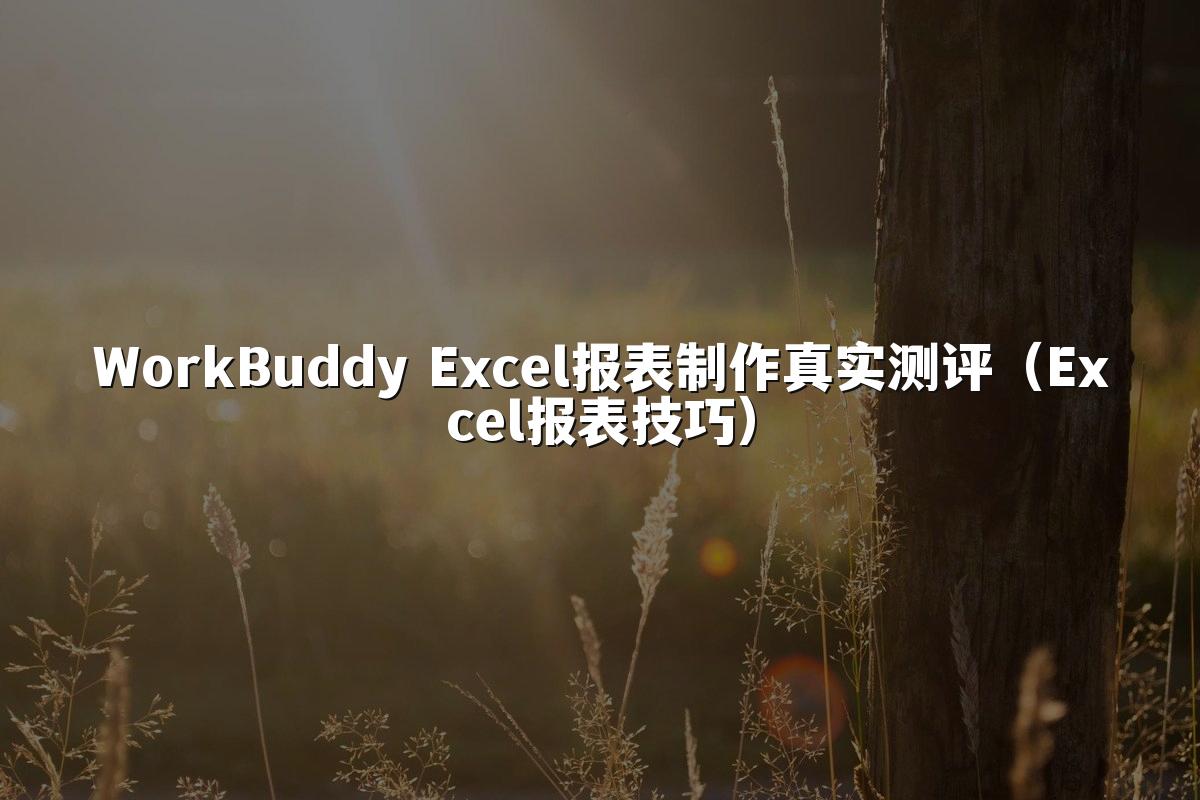 WorkBuddy Excel报表制作真实测评(Excel报表技巧)