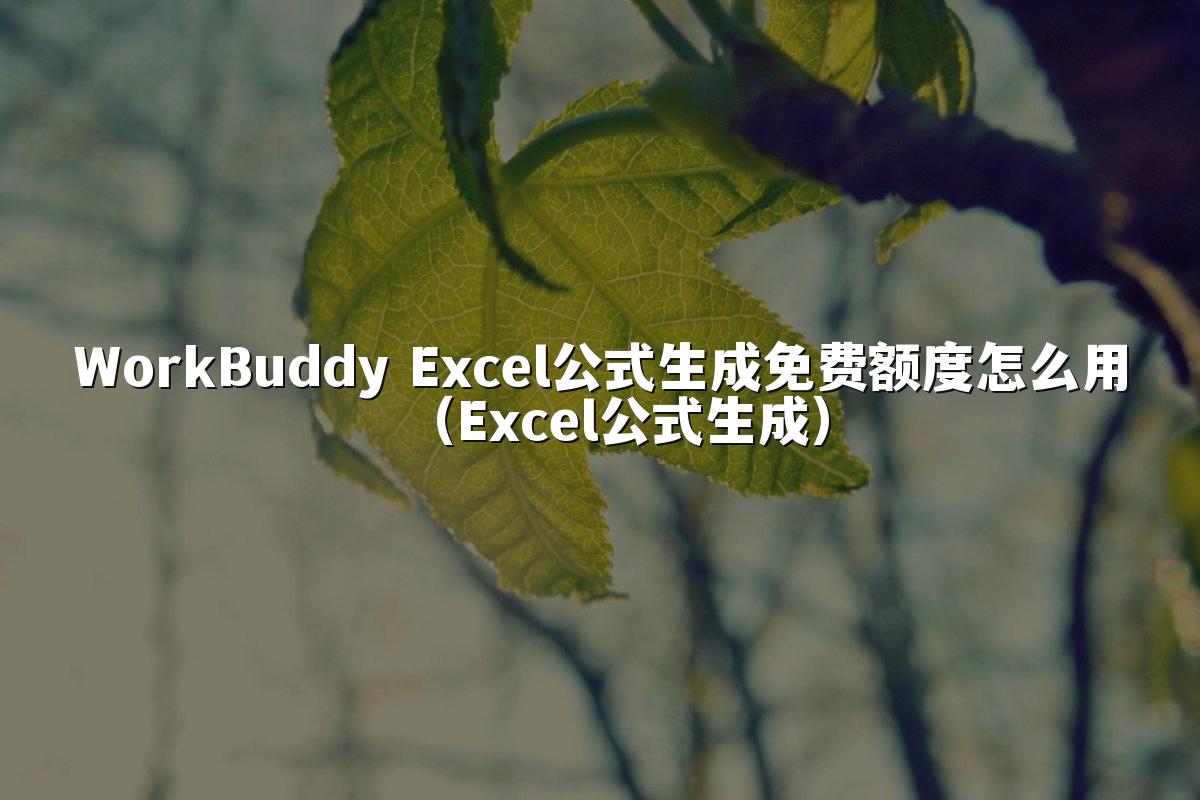 WorkBuddy Excel公式生成免费额度怎么用（Excel公式生成）