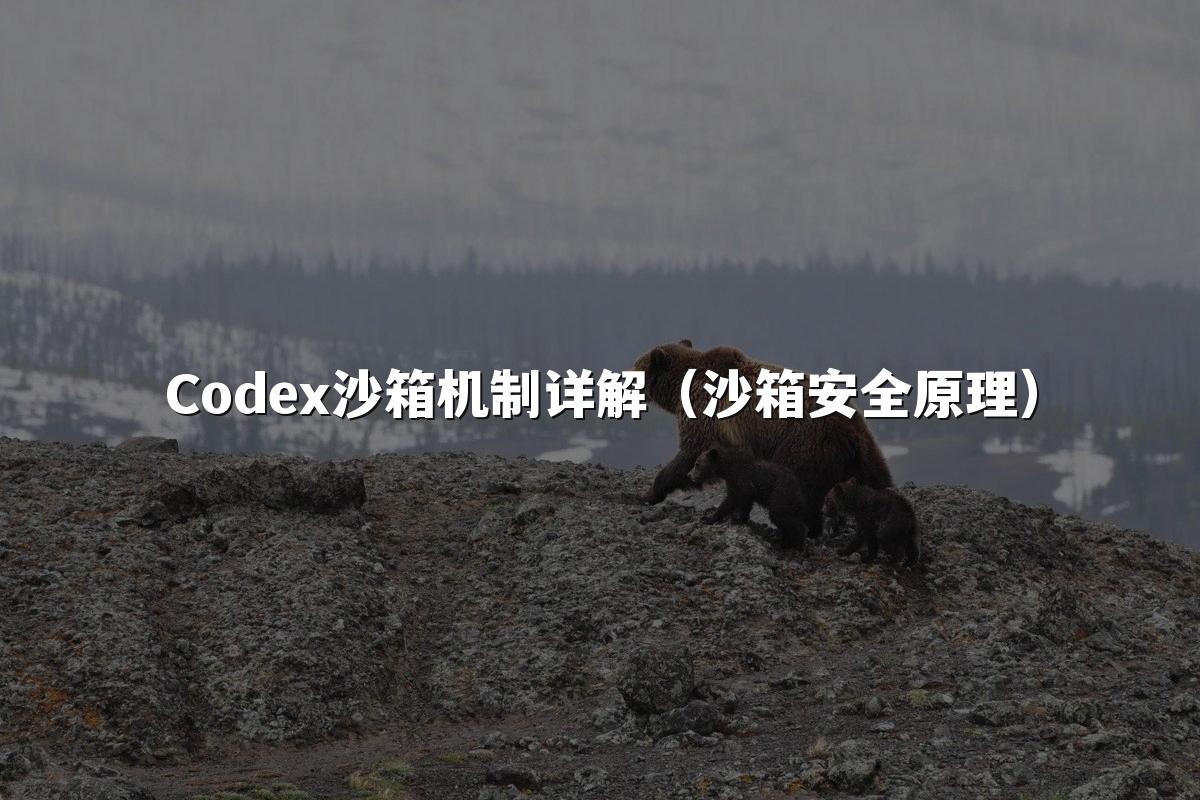Codex沙箱机制详解（沙箱安全原理）