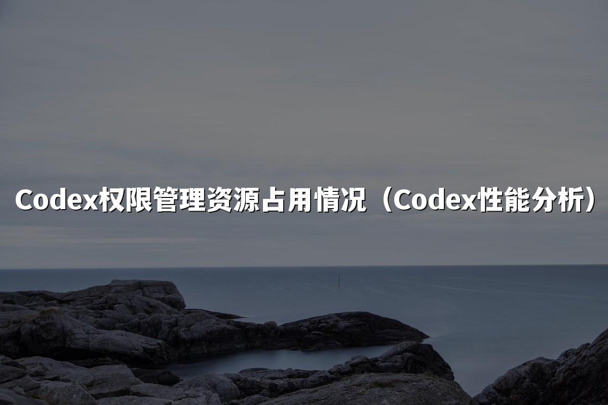 Codex权限管理资源占用情况（Codex性能分析）