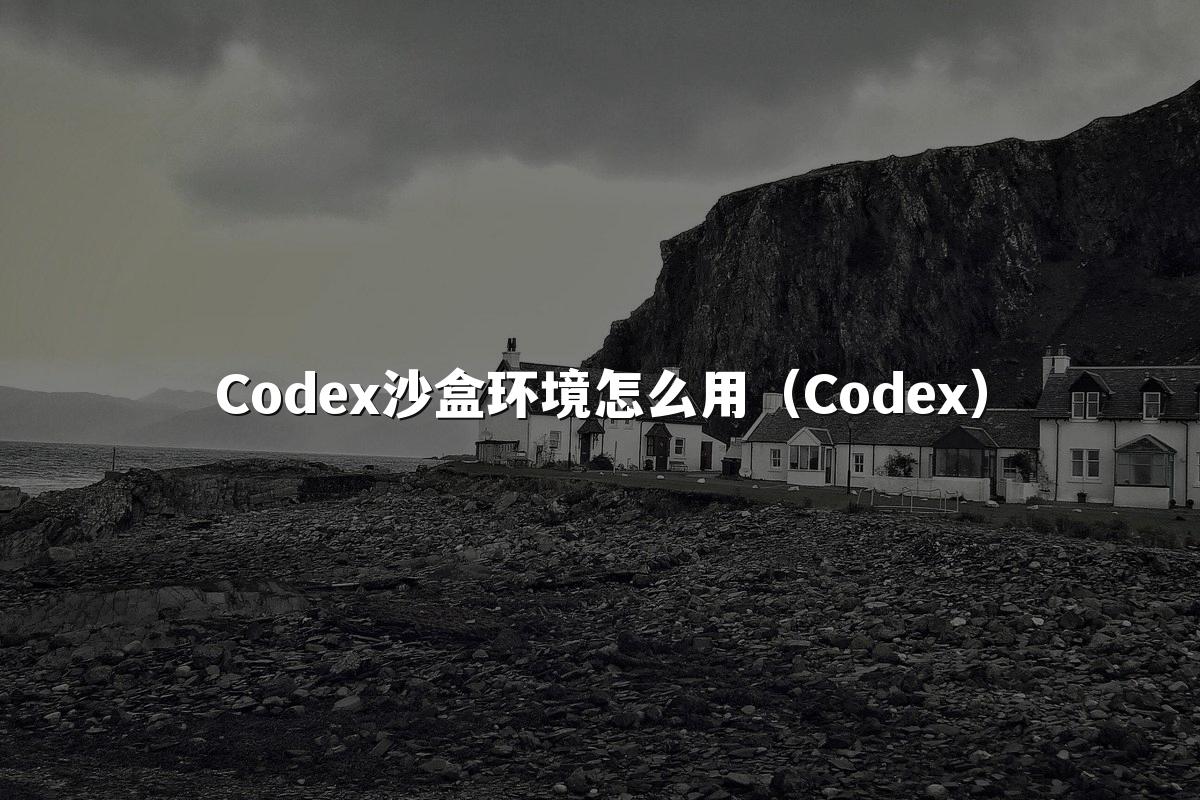 Codex沙盒环境怎么用（Codex）