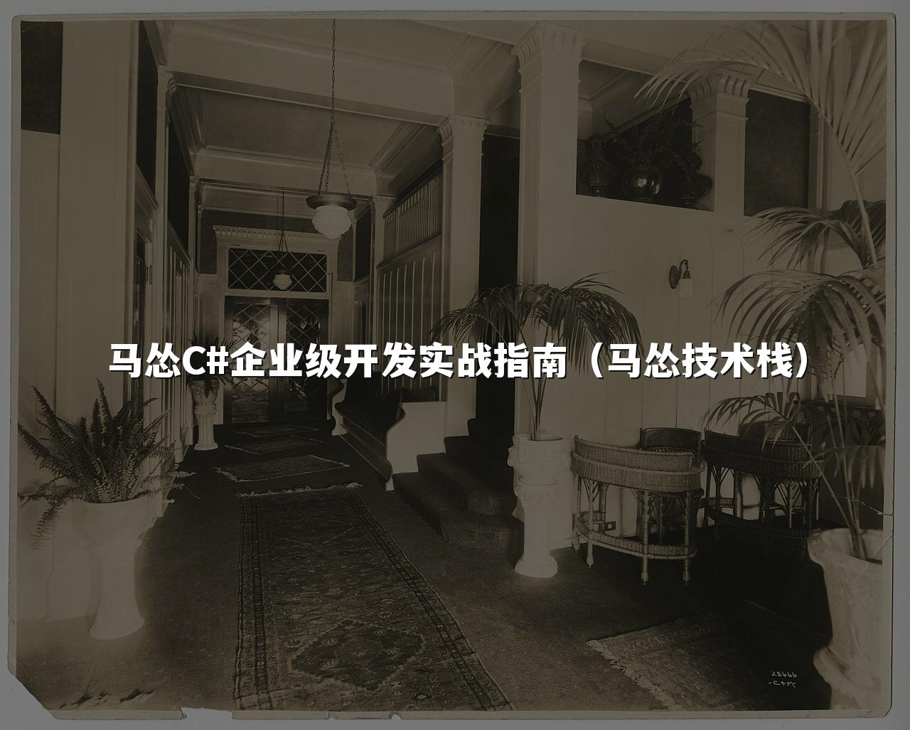 马怂C#企业级开发实战指南（马怂技术栈）