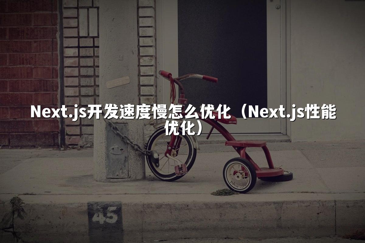 Next.js开发速度慢怎么优化(Next.js性能优化)