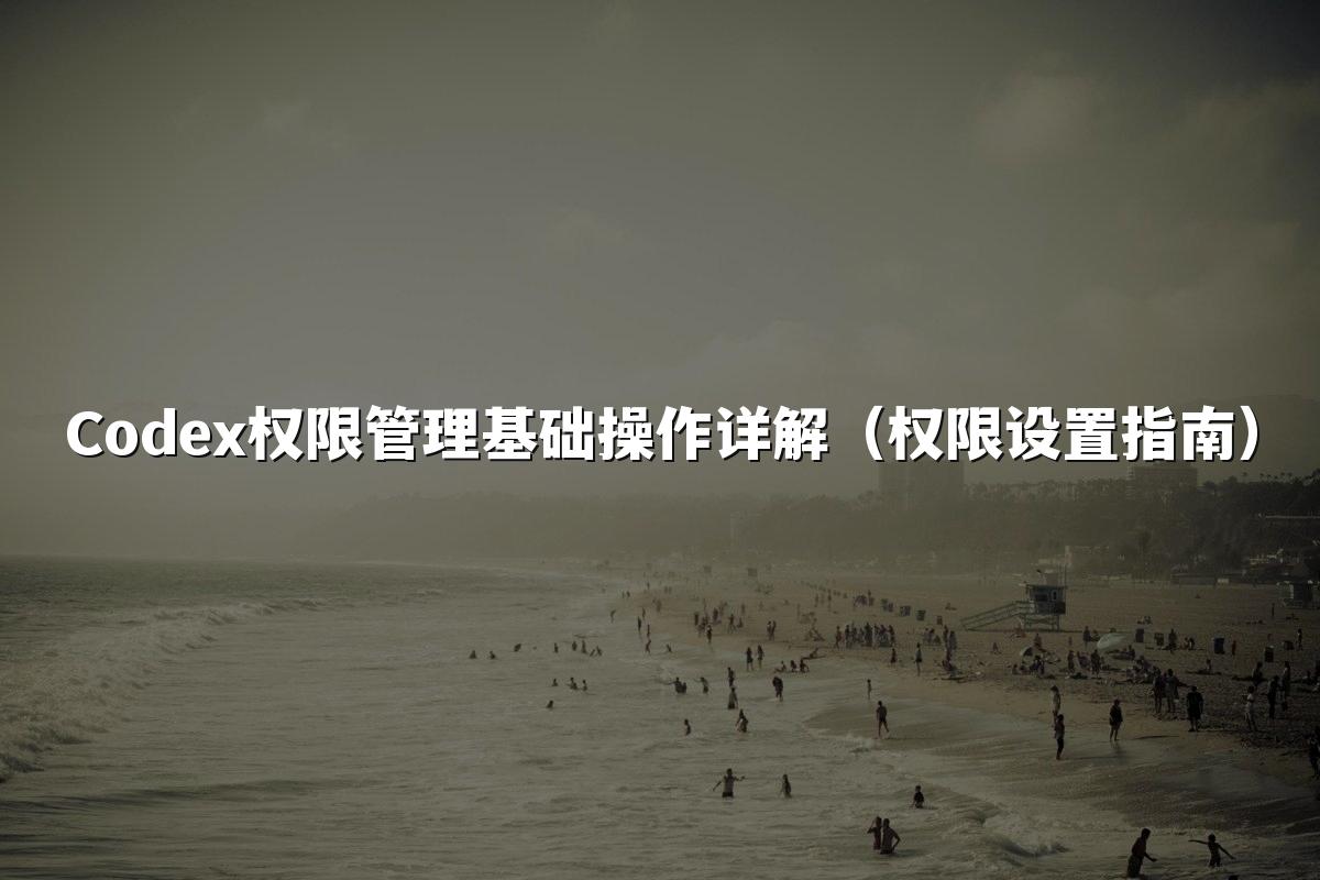 Codex权限管理基础操作详解（权限设置指南）