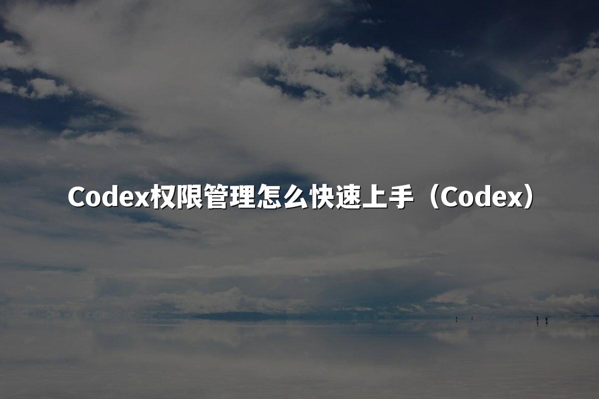 Codex权限管理怎么快速上手（Codex）