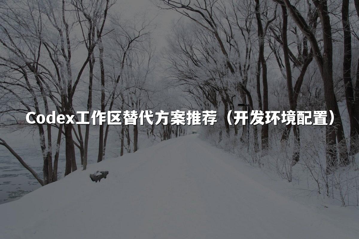 Codex工作区替代方案推荐（开发环境配置）