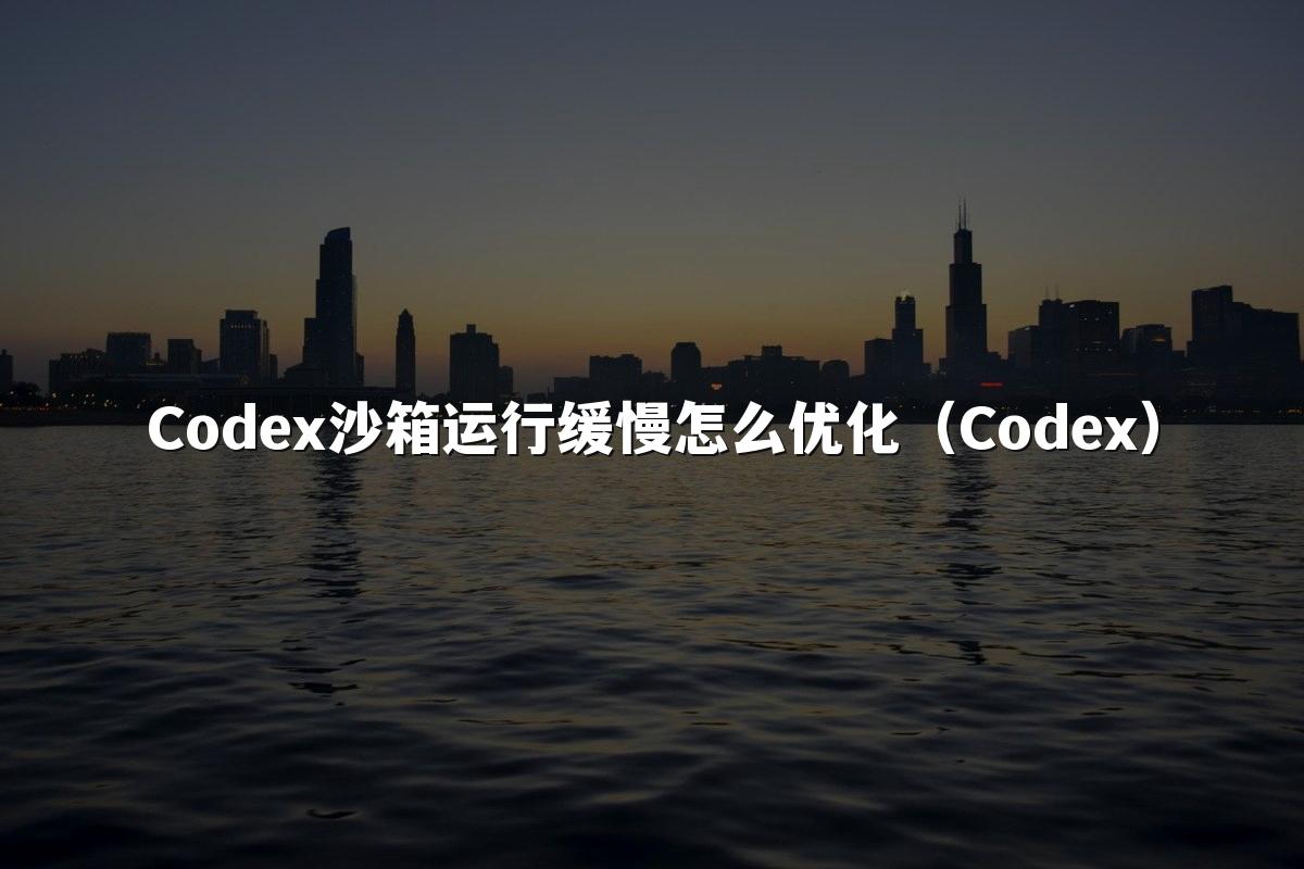 Codex沙箱运行缓慢怎么优化(Codex)