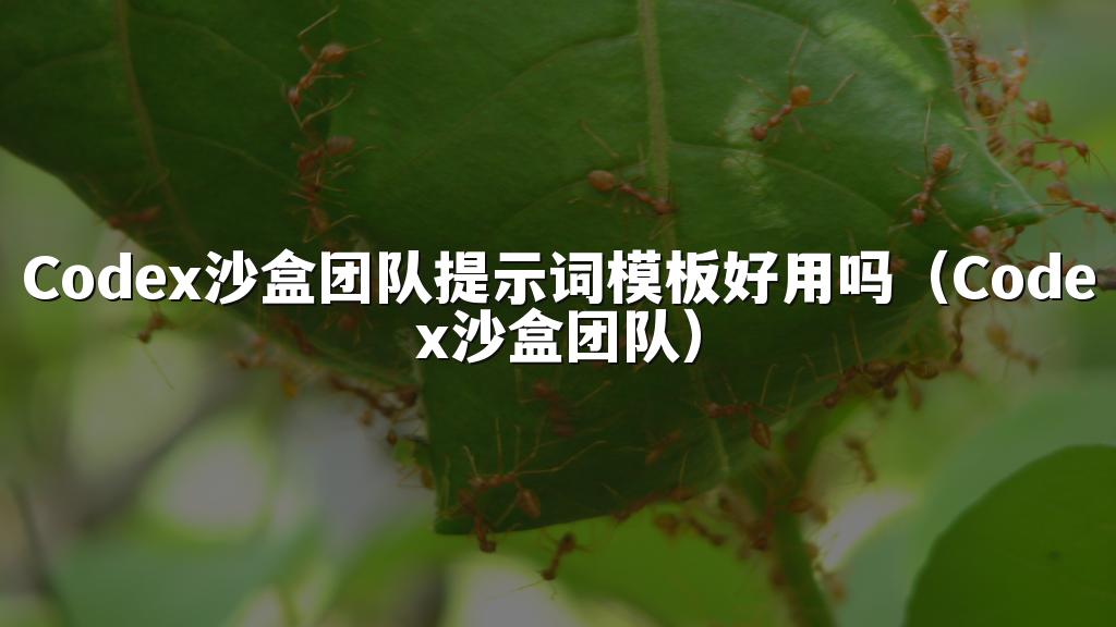 Codex沙盒团队提示词模板好用吗（Codex沙盒团队）