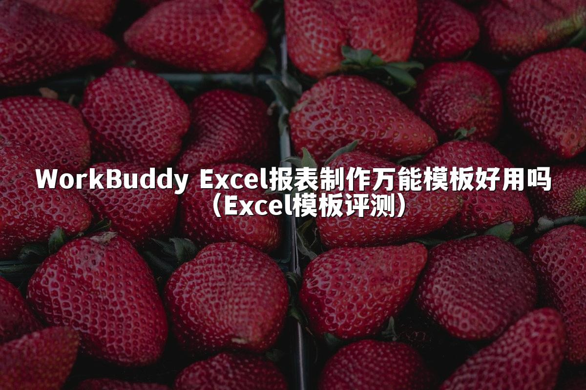 WorkBuddy Excel报表制作万能模板好用吗(Excel模板评测)