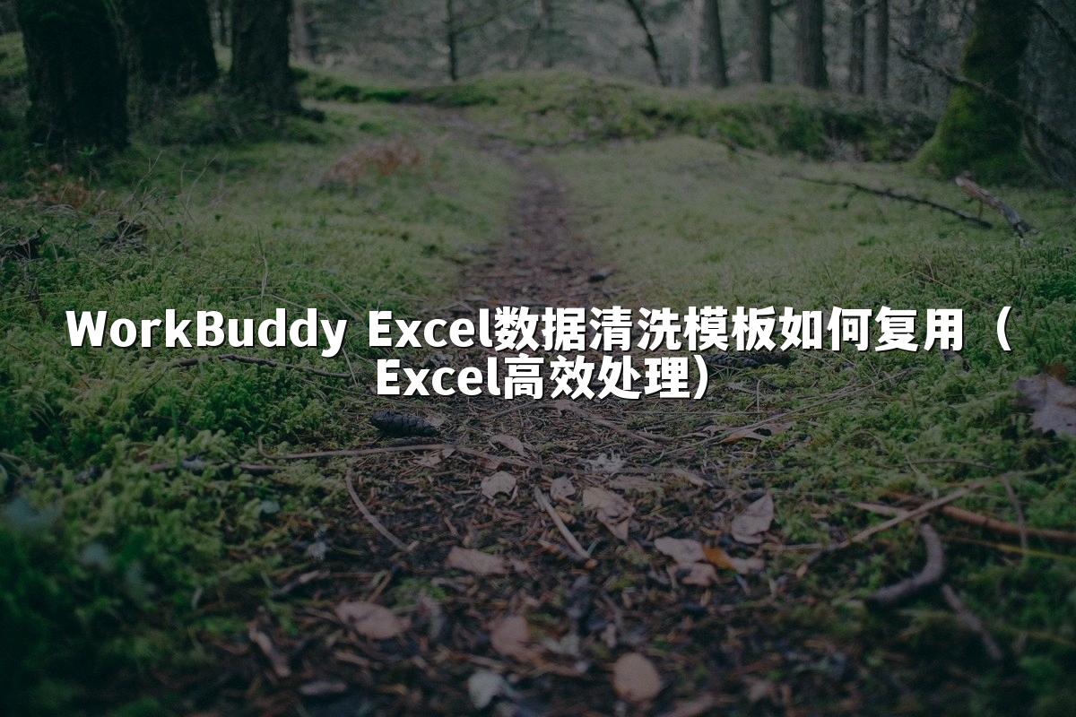 WorkBuddy Excel数据清洗模板如何复用（Excel高效处理）