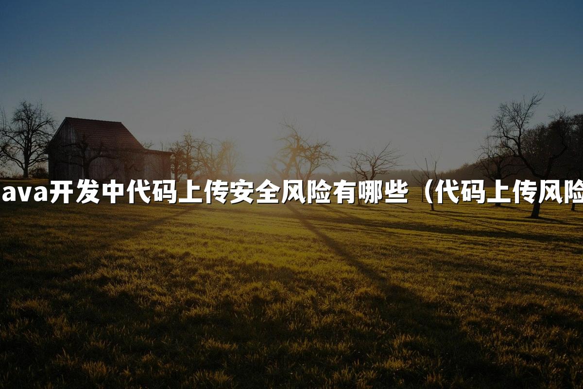 Java开发中代码上传安全风险有哪些（代码上传风险）