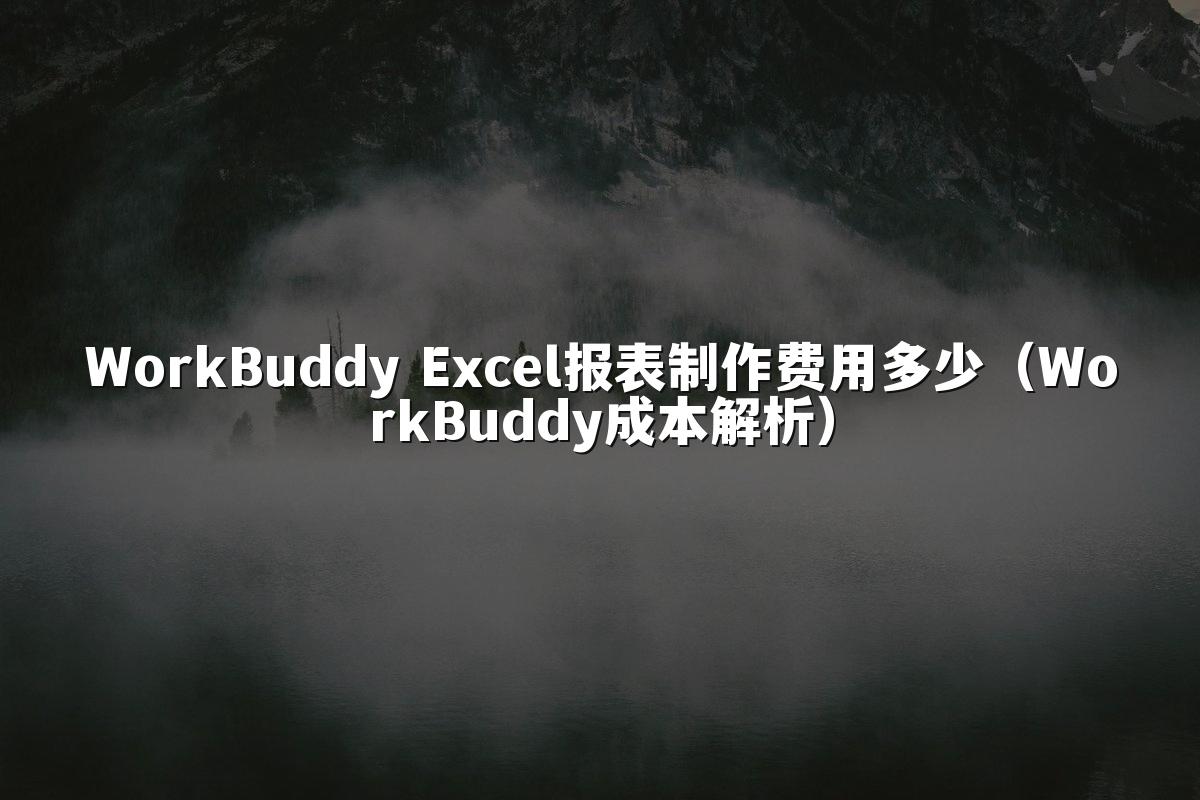 WorkBuddy Excel报表制作费用多少（WorkBuddy成本解析）