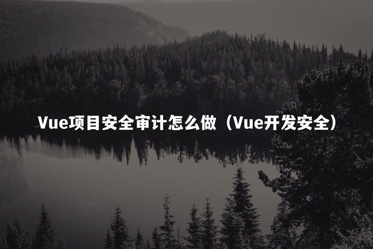 Vue项目安全审计怎么做(Vue开发安全)